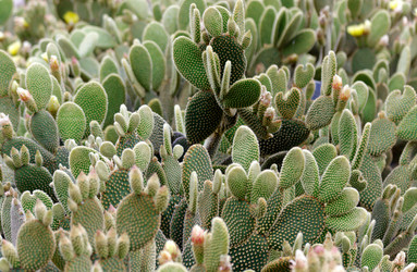 Similar image 2533689