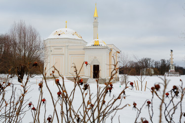 Similar image 2533762