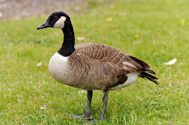 Similar image 2533833