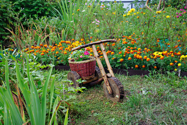 Similar image 2533997