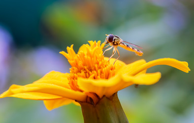 Similar image 2534004