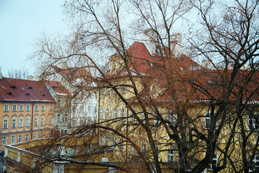 Similar image 2547113