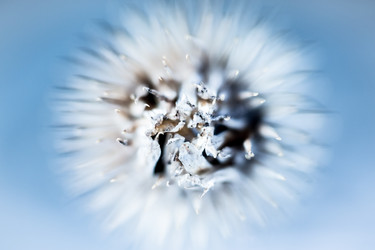 Similar image 2547380