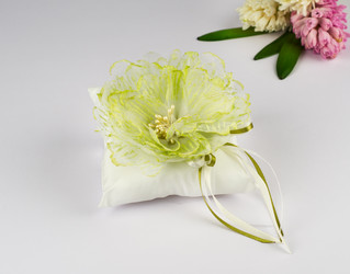 Similar image 2547448