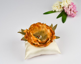 Similar image 2547451