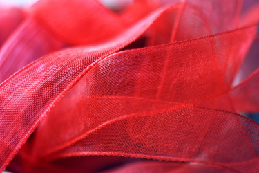 Similar image 2547749