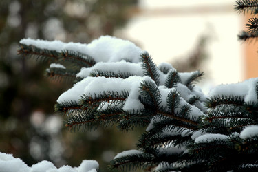 Similar image 2547757