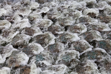 Similar image 2548278