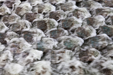 Similar image 2548280