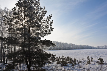 Similar image 2548288