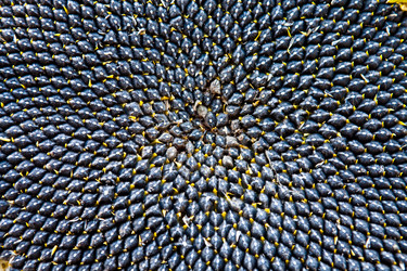 Similar image 2548289