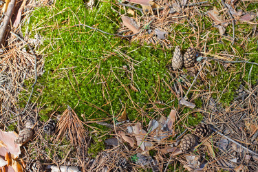 Similar image 2548294