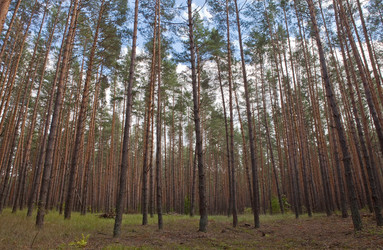 Similar image 2548299