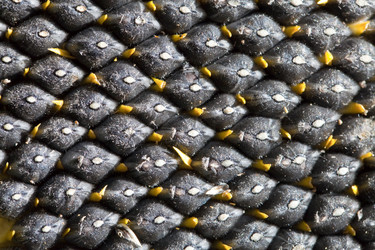 Similar image 2548348