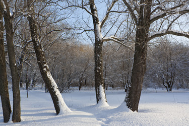 Similar image 2548352