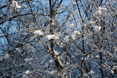 Similar image 2548354