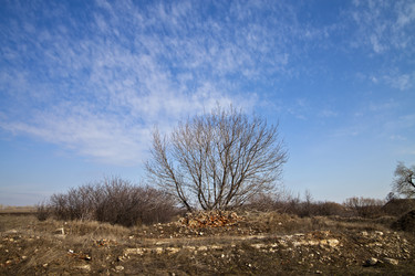 Similar image 2548356