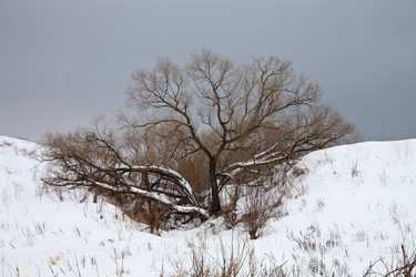 Similar image 2548357