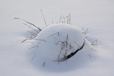 Similar image 2548360