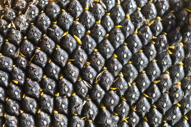 Similar image 2548365