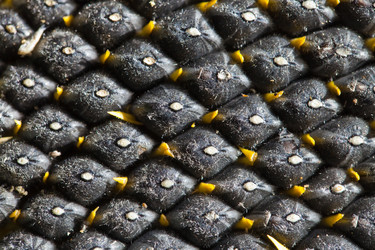 Similar image 2548367