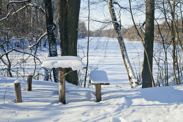 Similar image 2548369