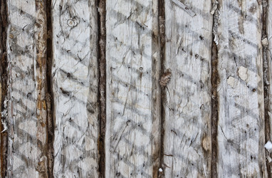 Similar image 2548425