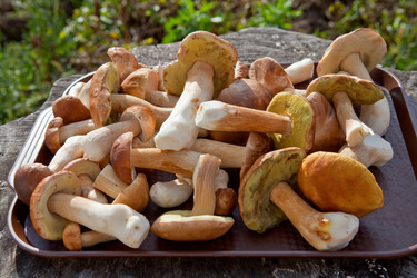 Similar image 2548427