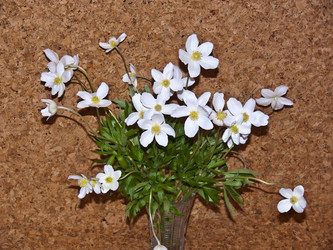 Similar image 2548428