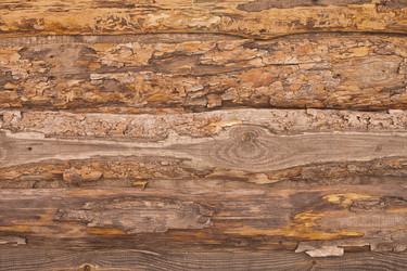 Similar image 2548430