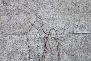 Similar image 2548438