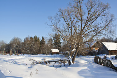 Similar image 2548452