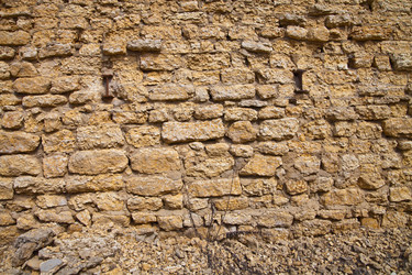 Similar image 2548456