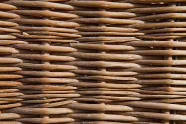 Similar image 2548458