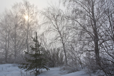 Similar image 2548495