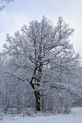 Similar image 2548497