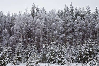 Similar image 2548499