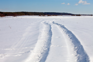 Similar image 2548502