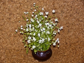 Similar image 2548512