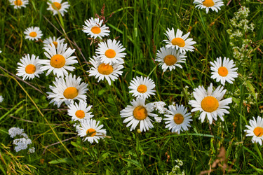 Similar image 2548514