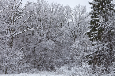 Similar image 2548521