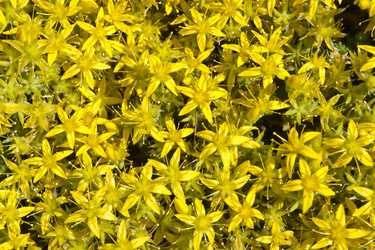 Similar image 2548636