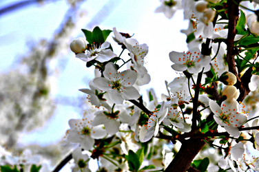 Similar image 2548792