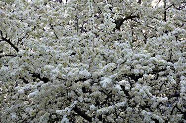 Similar image 2548833