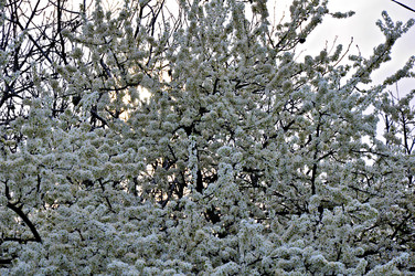 Similar image 2548837