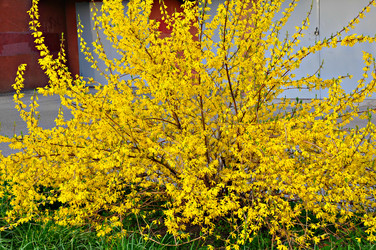 Similar image 2548839