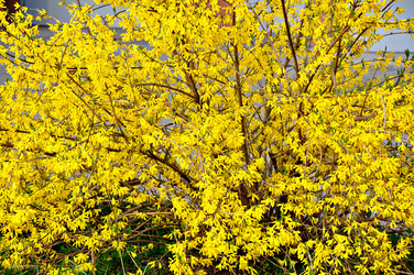 Similar image 2548840