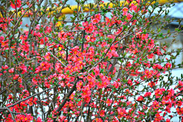 Similar image 2548842