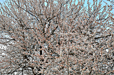 Similar image 2548843