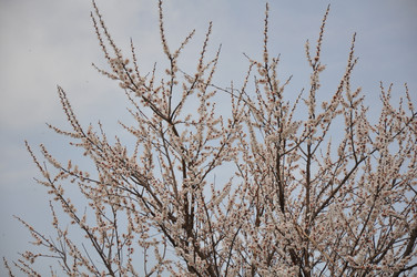 Similar image 2548844